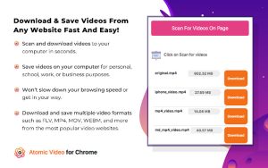 Atomic Video Downloader 300x188 - Extensions like Video Octopus