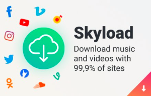 pro video downloader by skyload 300x191 - Extensions like Video Octopus