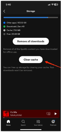 spotify 3 - How to Fix Spotify Wrapped Not Working on iOS?