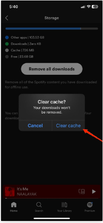 spotify 4 - How to Fix Spotify Wrapped Not Working on iOS?