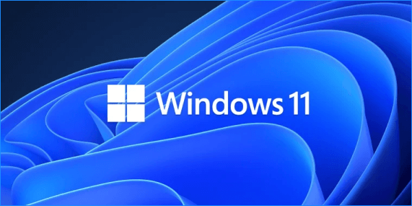 search-highlights-on-windows-11