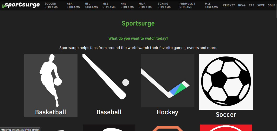 Features-of-SportSurge