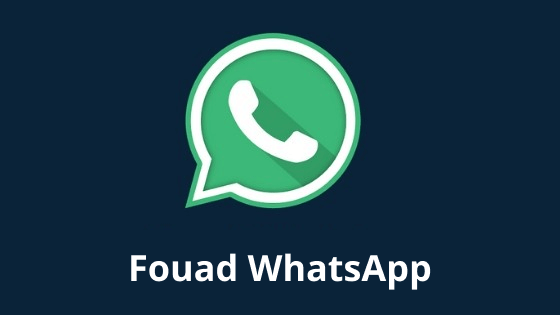 fouad-whatsapp